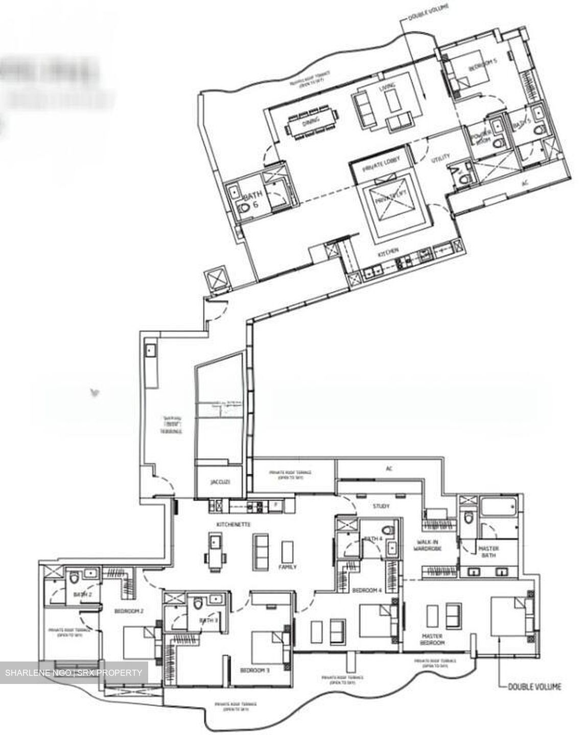 Queens Peak (D3), Condominium #522062171